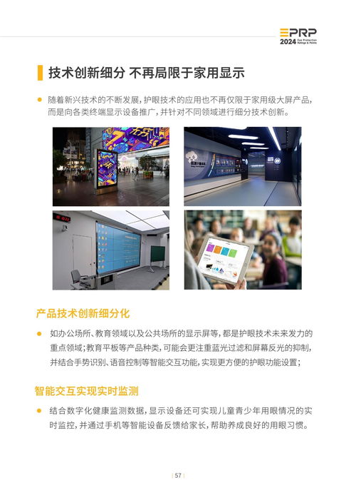 2024年度顯示設(shè)備護(hù)眼趨勢(shì)報(bào)告 軟件與輔助設(shè)備的零售新篇章